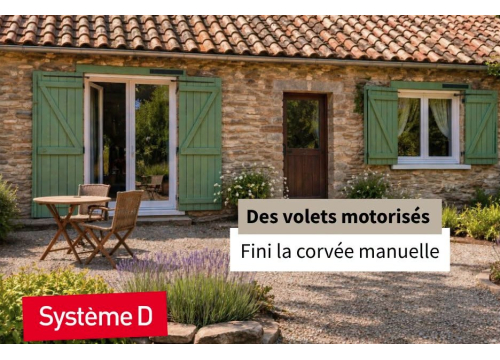SYSTEME D