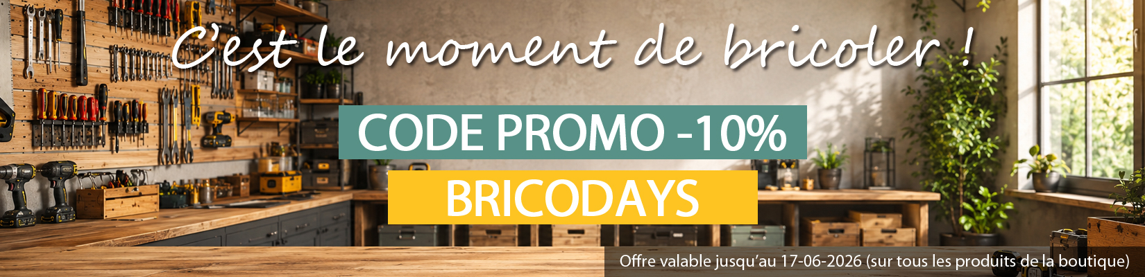 BRICO DAYS